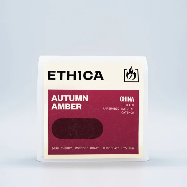 Autumn Amber cover